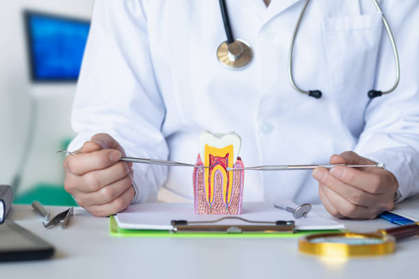 Best Emergency Cosmetic Dentistry in Llano Grande, TX